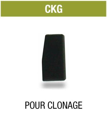 Transpondeur clonage Keyline Texas crypto 80 bits