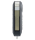Télécommande Fiat 2 Boutons DELPHI Fiat, Peugeot, Citroën