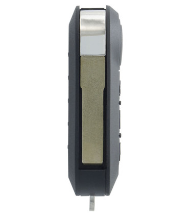 Télécommande Fiat 2 Boutons DELPHI Fiat, Peugeot, Citroën