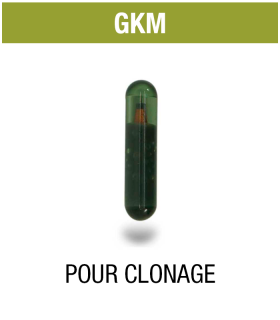 Transpondeur clonage Keyline ID48 Transpondeur clonage Keyline ID48